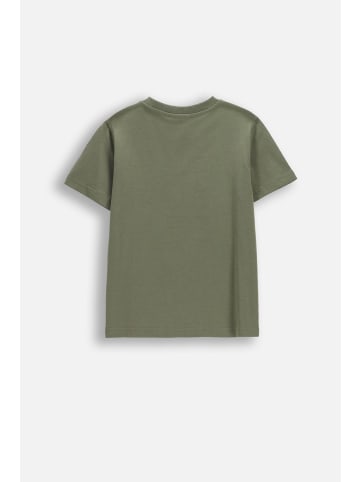 Coccodrillo Baumwoll-t-shirt mit kurzen Ärmeln in grün