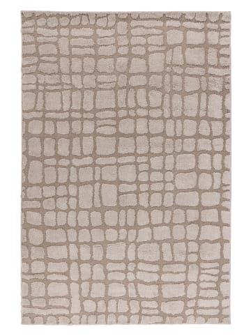 Kayoom Kayoom Neu 2026 Wohnzimmer Kurzflor Teppich Obilisk 125 beige in beige