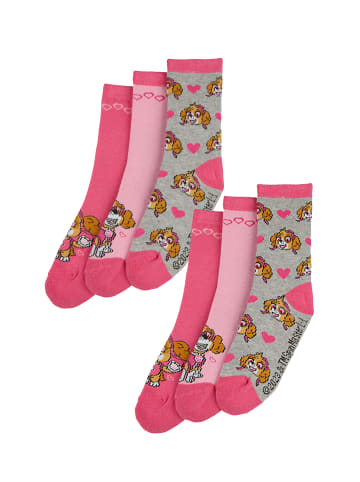 ONOMATO! 6er-Set: Socken Paw Patrol Skye in Mehrfarbig