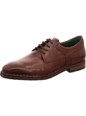 Galizio Torresi Schnürschuh in braun