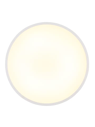 Globo lighting Deckenleuchte "NIELSEN" in white