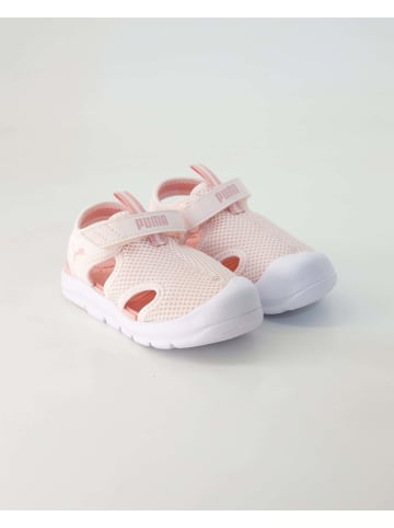 Puma Klettschuhe in Rosa