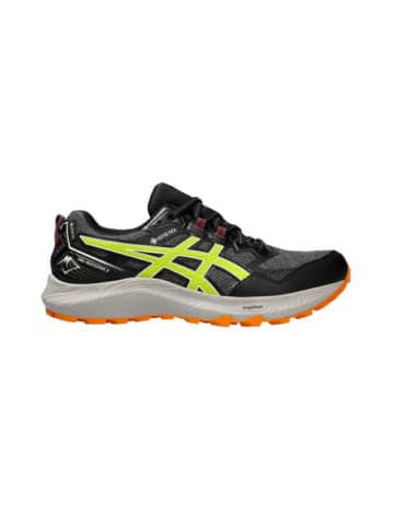 asics Laufschuhe GEL-SONOMA 7 GTX in Grau