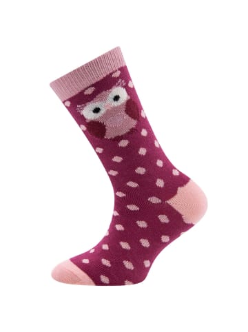 ewers 2er-Set Socken 2er Pack GOTS Eule in rosenrauch-marone