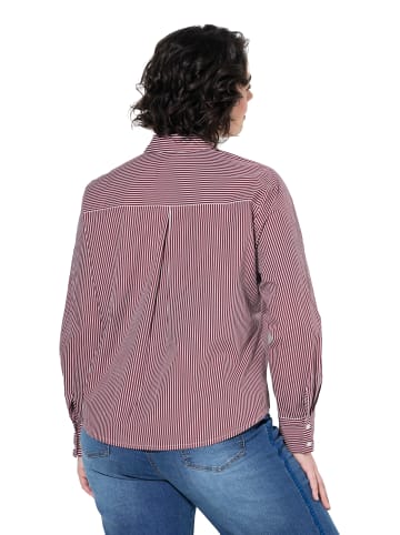 Ulla Popken Hemdbluse in dunkle beere
