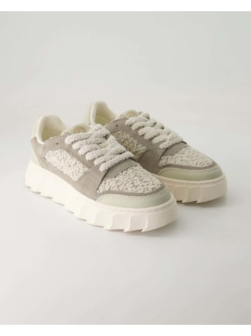 Apple of Eden Sportliche Schnürschuhe in Grau