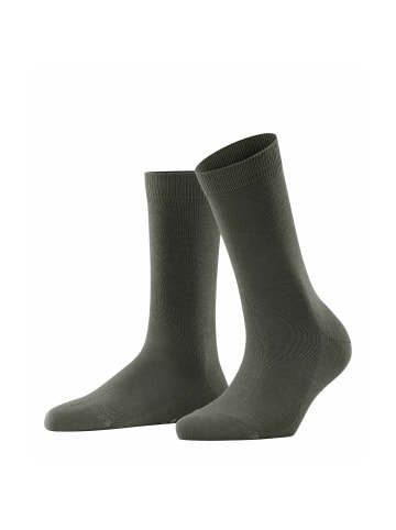 Falke Socken 1er Pack in Dunkelgrün