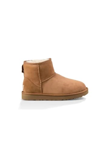 UGG Botines Classic in Beige