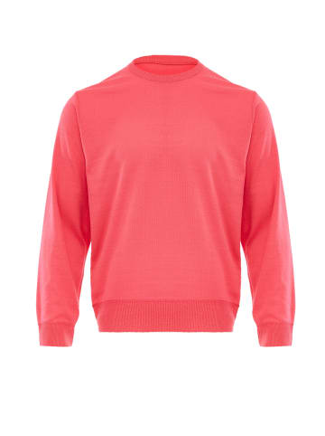 Jalene Pullover in Pink