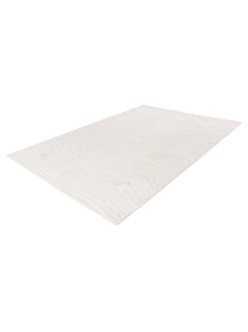 Kayoom Kayoom Neu 2026 Wohnzimmer Kurzflor Teppich Oxygen 125 elfenbein in elfenbein