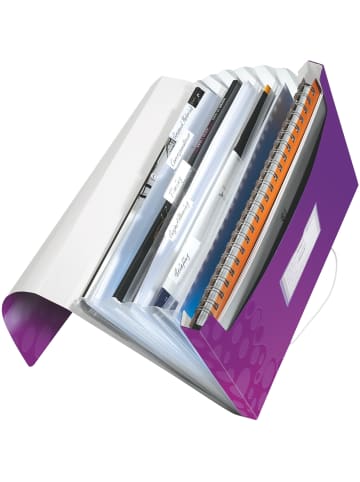 Leitz Projektmappe Wow A4 PP 6 Fächer violett