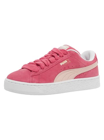 Puma Puma Turnschuhe in tart cherry/island park