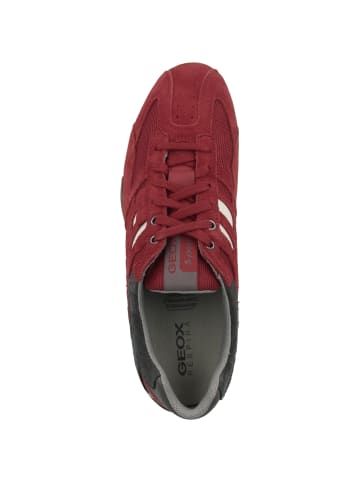 Geox Sneaker low U Snake K in rot