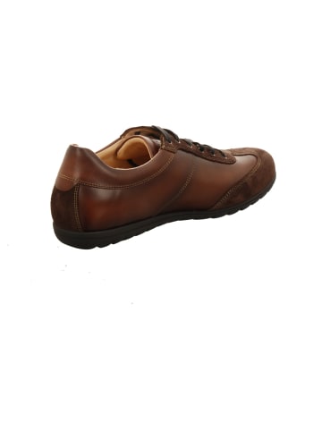 Franz Gustav Schnürschuhe in braun