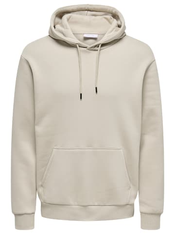 ONLY & SONS Sweatshirt / Hoodie Ceres in Silver lining