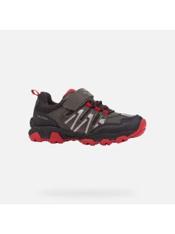 Geox Slipper in rot