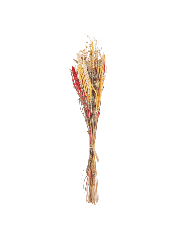 Beliani Trockenblumenstrauß PAMPELUNA in /Rot/Gelb - (W) 15 x (H) 65 x (L) 10 cm