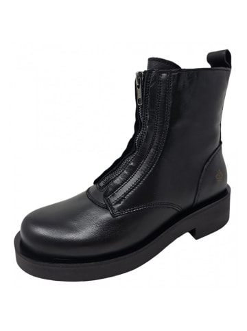 Apple of Eden Kurzstiefel  in Schwarz