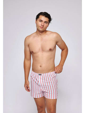 SNOCKS American Woven Boxershorts aus Bio-Baumwolle Stripe 3 Stück