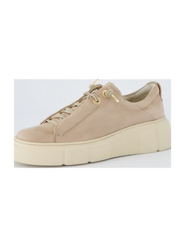 Paul Green Sportliche Schnürschuhe in Beige