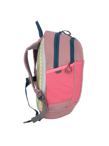 Jack Wolfskin Kids Moab Jam Kinderrucksack 37 cm in ash mauve