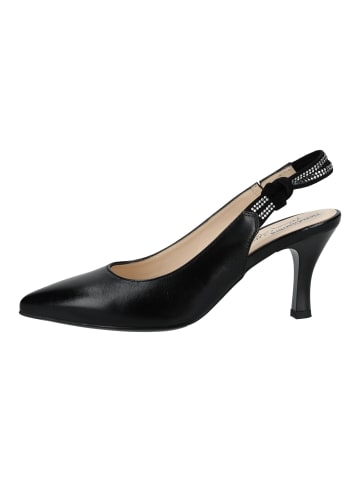 Nero Giardini Pumps in Schwarz