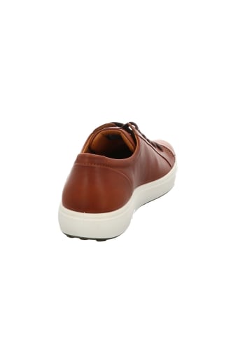 Ecco Lowtop-Sneaker SOFT 7 M in cognac