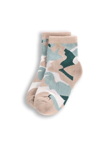 Coccodrillo Socken in bunt