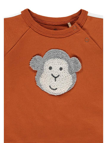 bellybutton Sweatshirt in Braun