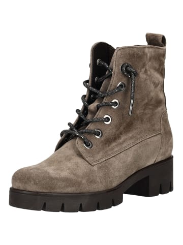 Gabor Stiefelette in Braun/Grau
