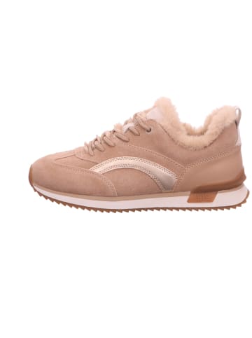 Gabor Sneaker Low in beige