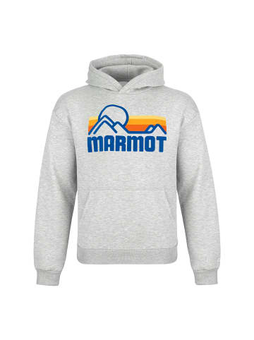 Marmot Hoodie in Grau