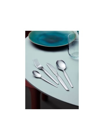 Gense Teelöffel in Glänzender Stahl