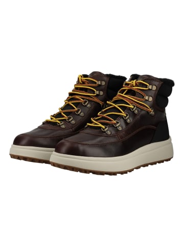 Geox Stiefelette GRANITO + GRIP B ABX Dunkelbraun
