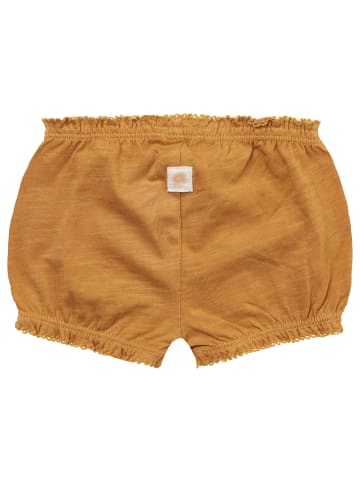 Noppies Shorts Norman in Apple Cinnamon