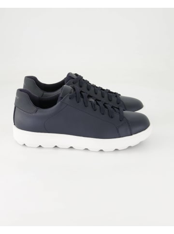 Geox Sneaker low in Blau