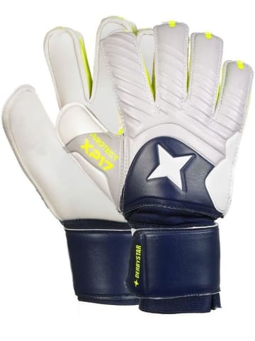 Derbystar Torwarthandschuh "Protect Attack Xp17" in Blau