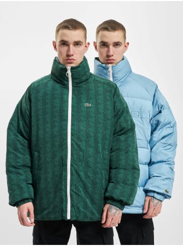 Lacoste Bomberjacke in green/sinople