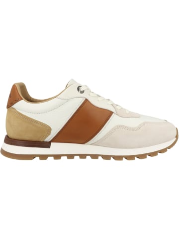 La Martina Sneaker low LFM261 in creme