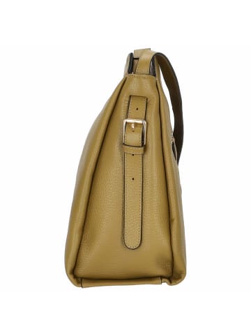 PICARD Amazing - Umhängetasche 32 cm Rindsleder (cactus) in cactus