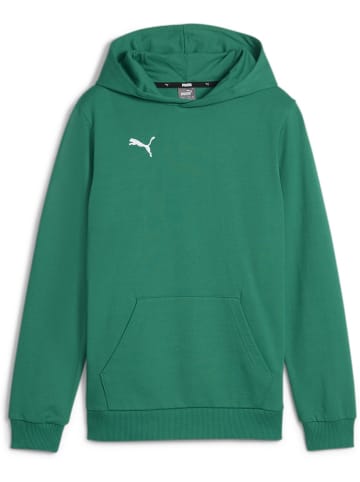 Puma Hoodie "TeamGoal CasuaLongsleeve Hoody Jr" in Grün