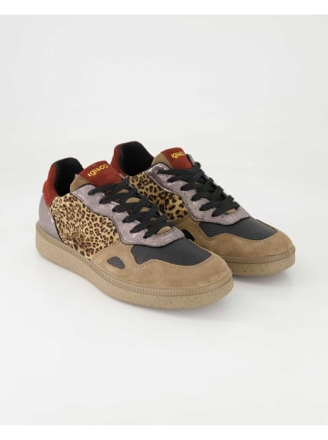 Igi&Co Sportliche Schnürschuhe in Braun