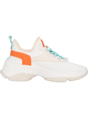 Steve Madden Schnürschuhe in wave white peach