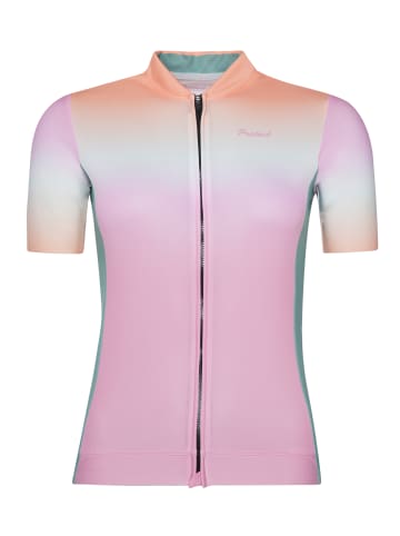 Protest " PRTDAHLIA in Pink Tulip