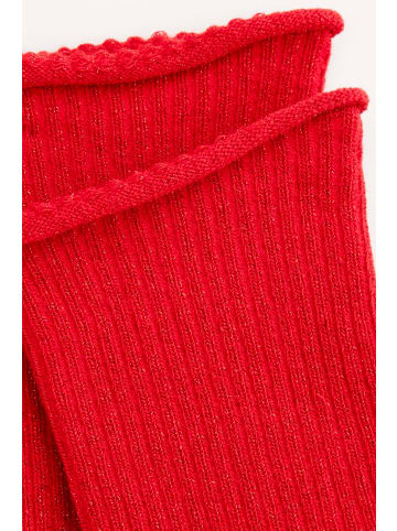 Coccodrillo Socken in rot