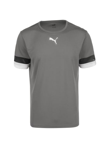 Puma Fußballtrikot TeamRISE in grau / weiß