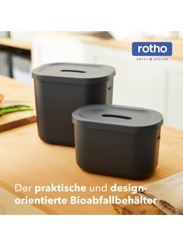 Rotho SALSA Bioabfalleimer Set 3,2 l und 6 l mit Deckel in Holzkohle schwarz ged.