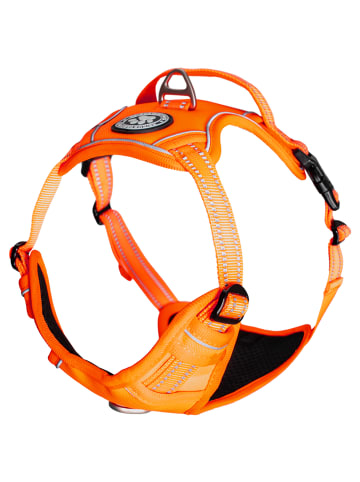 Reichstadt Reichstadt  Hundegeschirr  25RSP083 Orange L