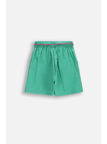 Coccodrillo Kurze Hosen in grün
