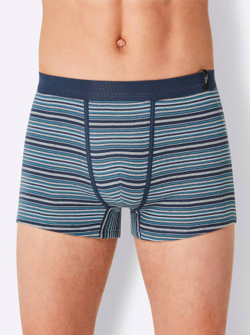 WITT WEIDEN Pants in topas + dunkelblau + burgund